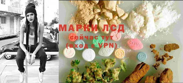 гидра Богородицк